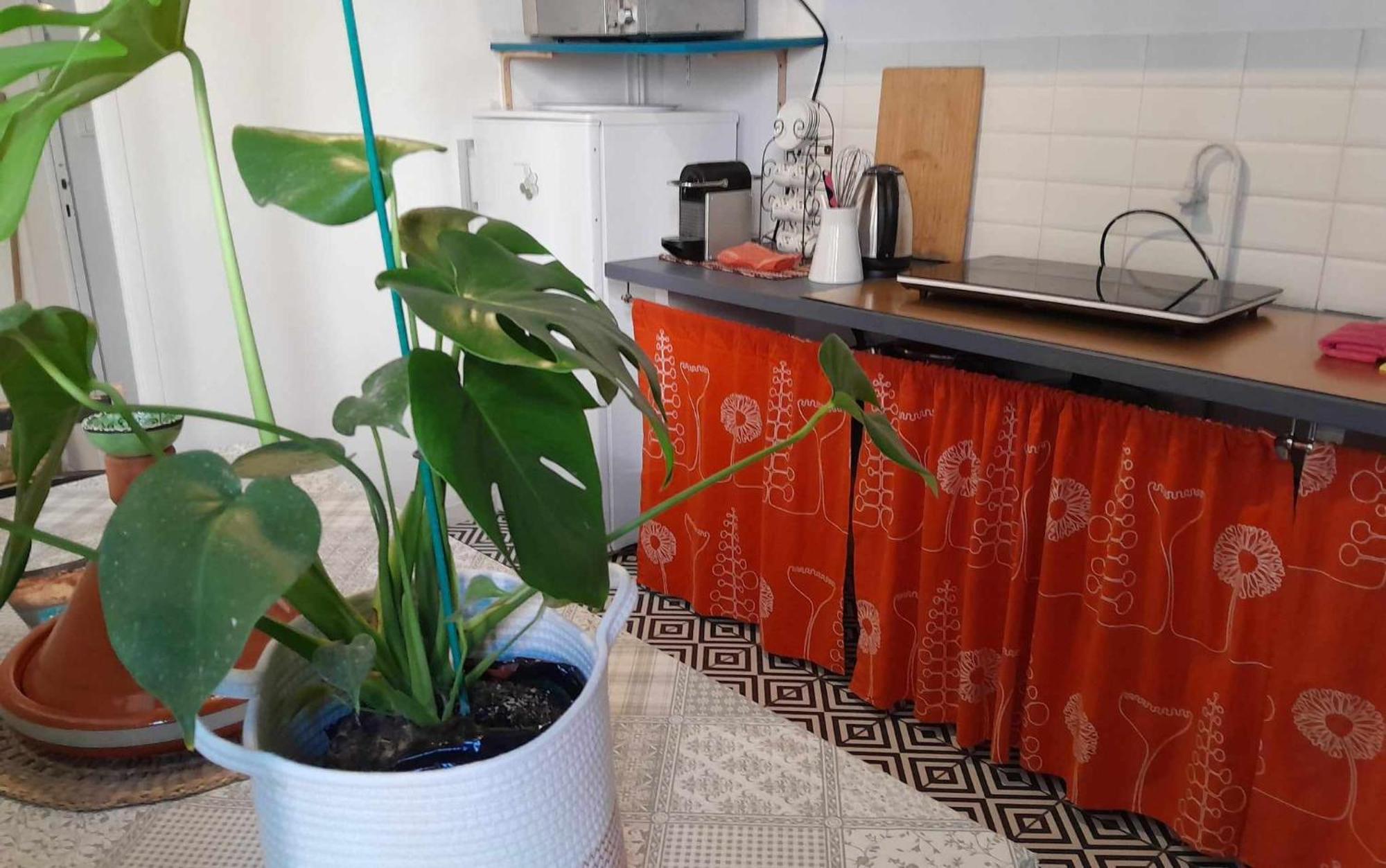 Cosy Appartement Familial Au Coeur De Marseille Exteriör bild